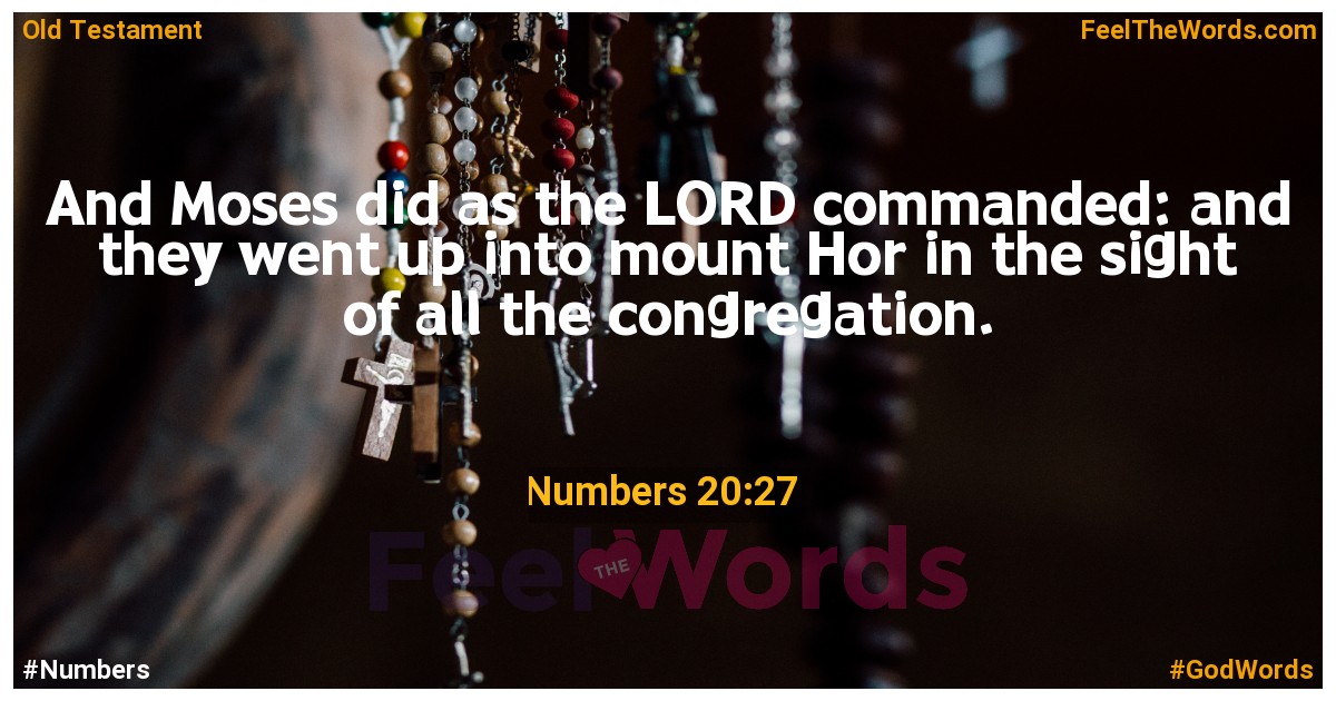 Numbers 20:27