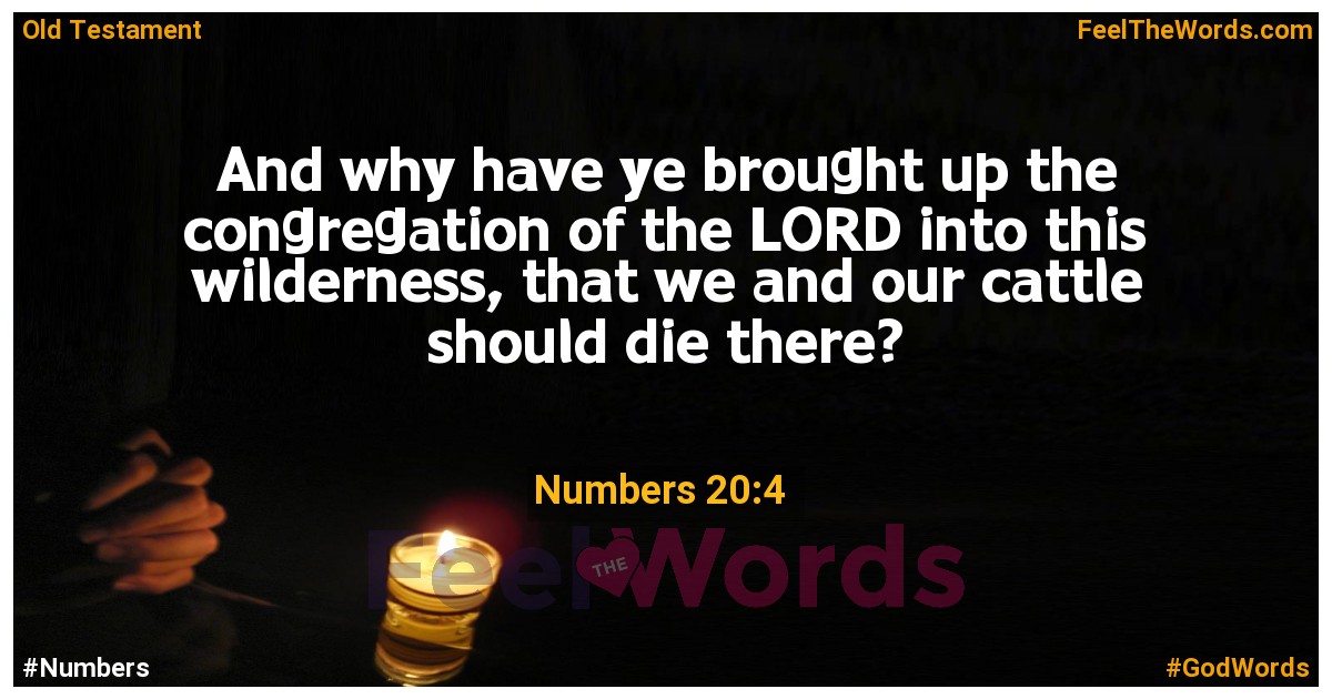 Numbers 20:4