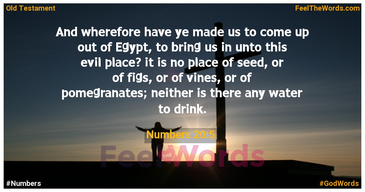 Numbers 20:5