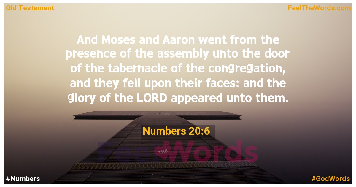Numbers 20:6