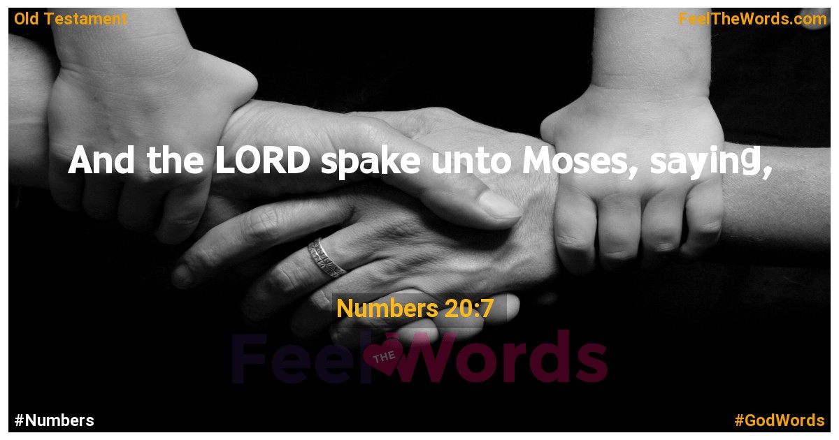 Numbers 20:7