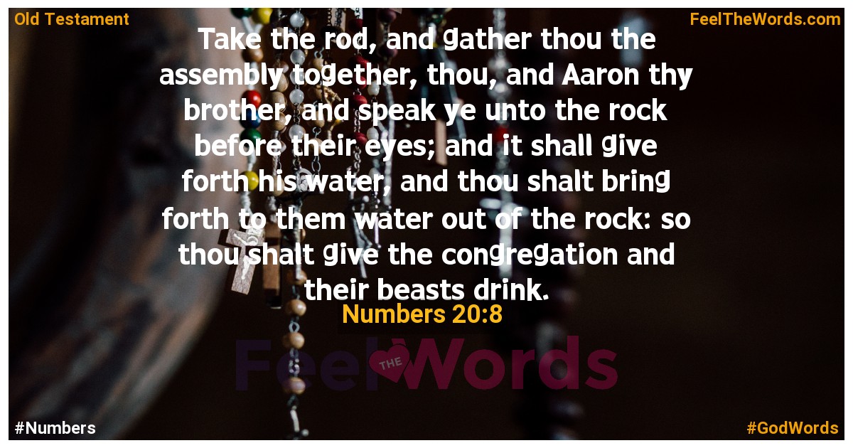 Numbers 20:8