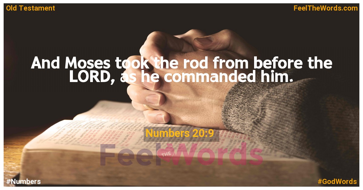 Numbers 20:9