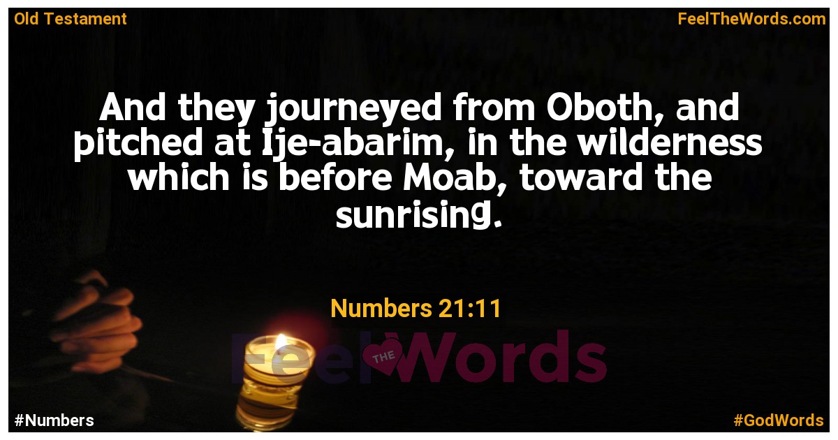 Numbers 21:11