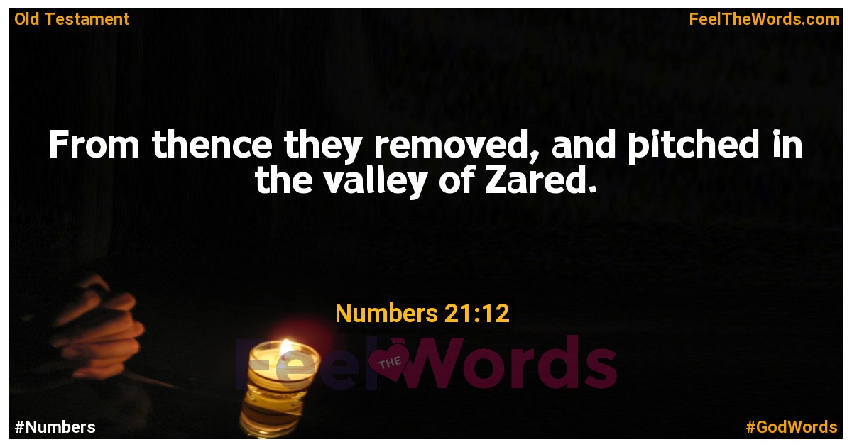Numbers 21:12