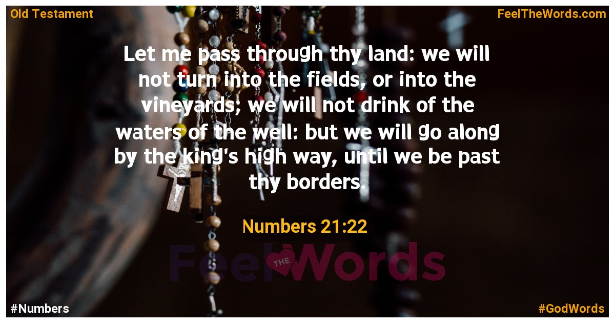Numbers 21:22