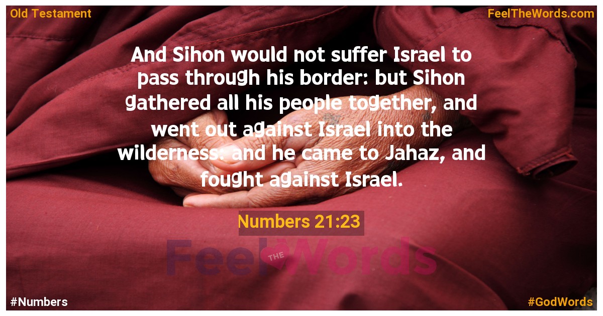 Numbers 21:23
