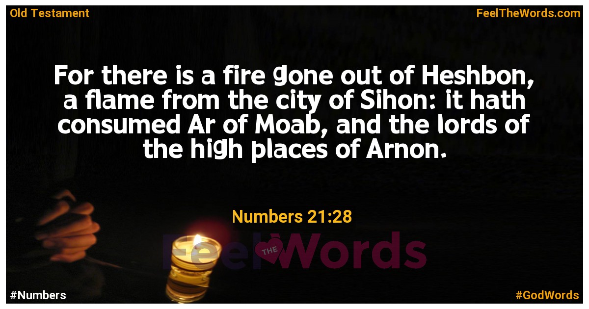 Numbers 21:28