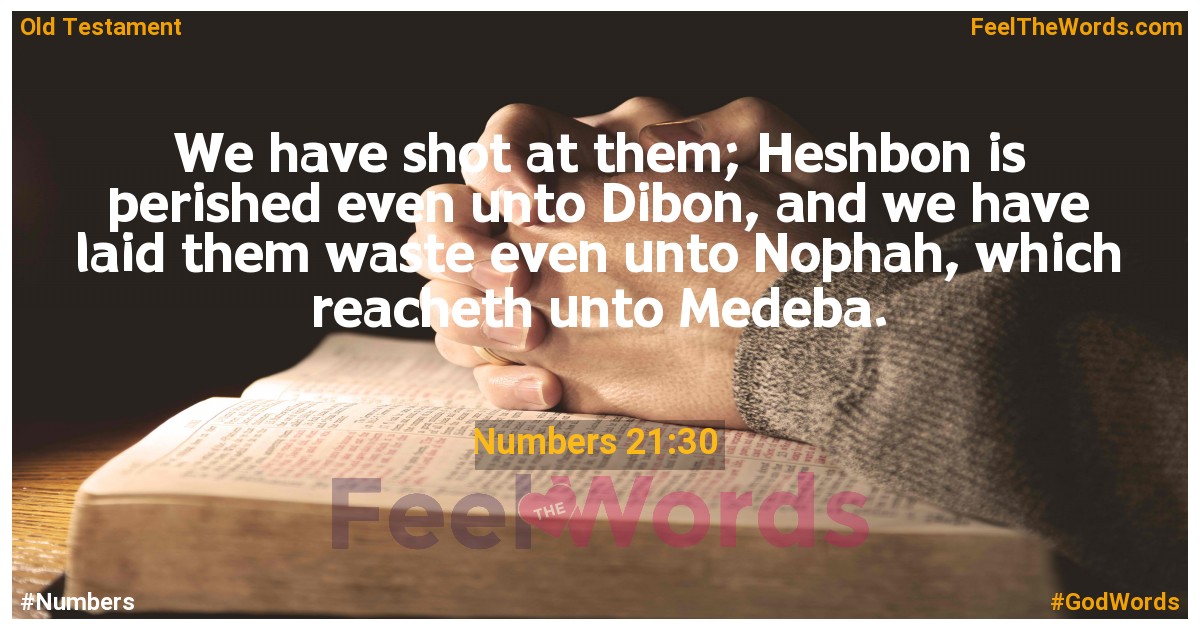 Numbers 21:30