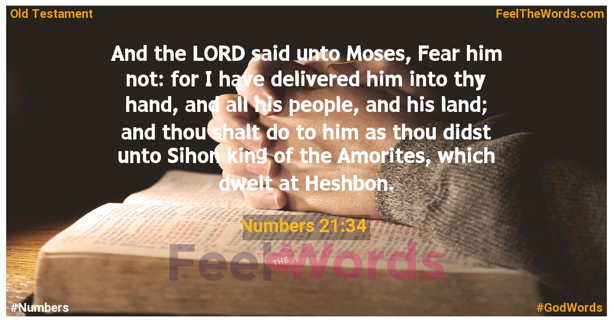 Numbers 21:34
