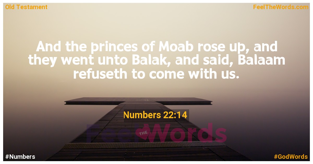 Numbers 22:14