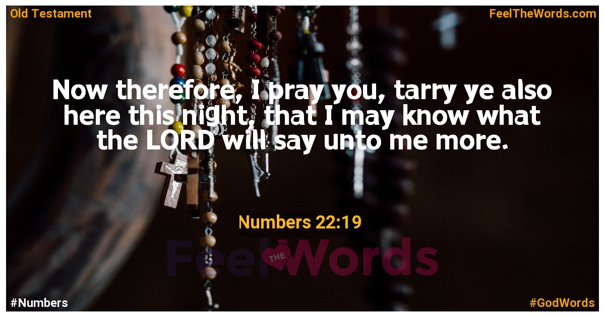 Numbers 22:19