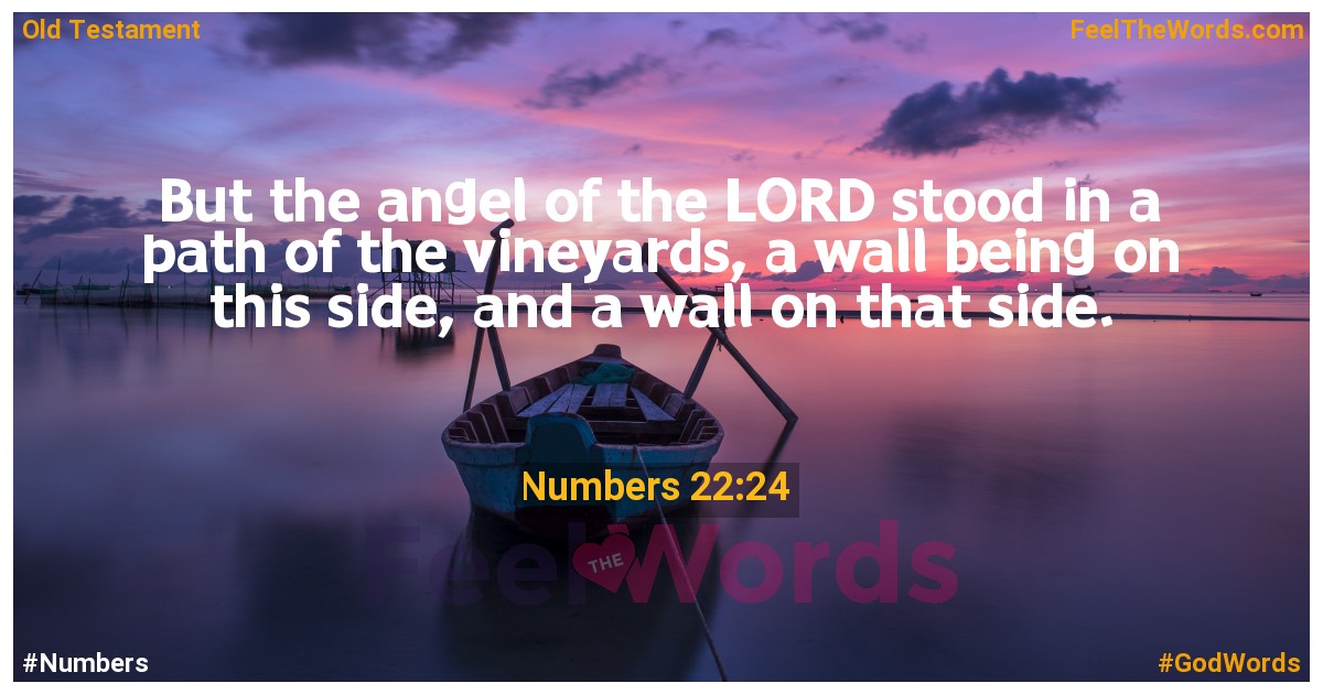 Numbers 22:24