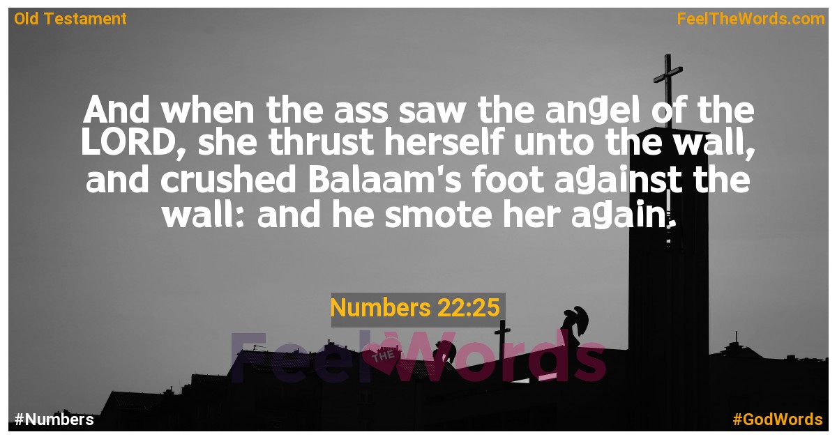 Numbers 22:25
