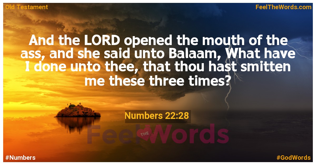 Numbers 22:28