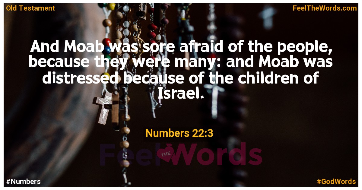Numbers 22:3