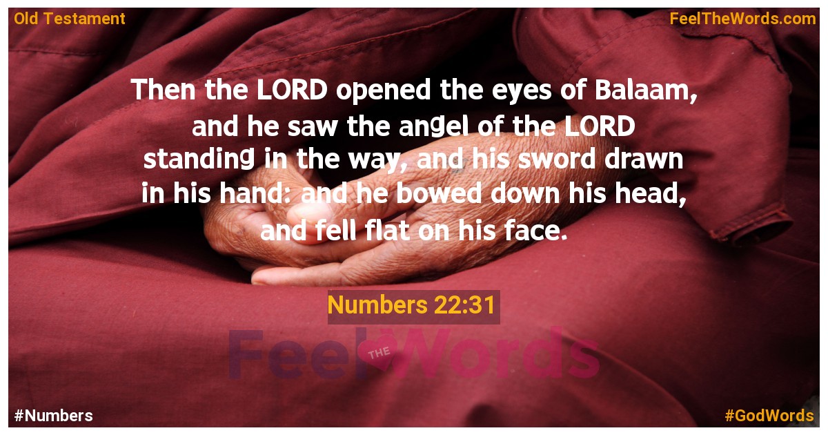 Numbers 22:31