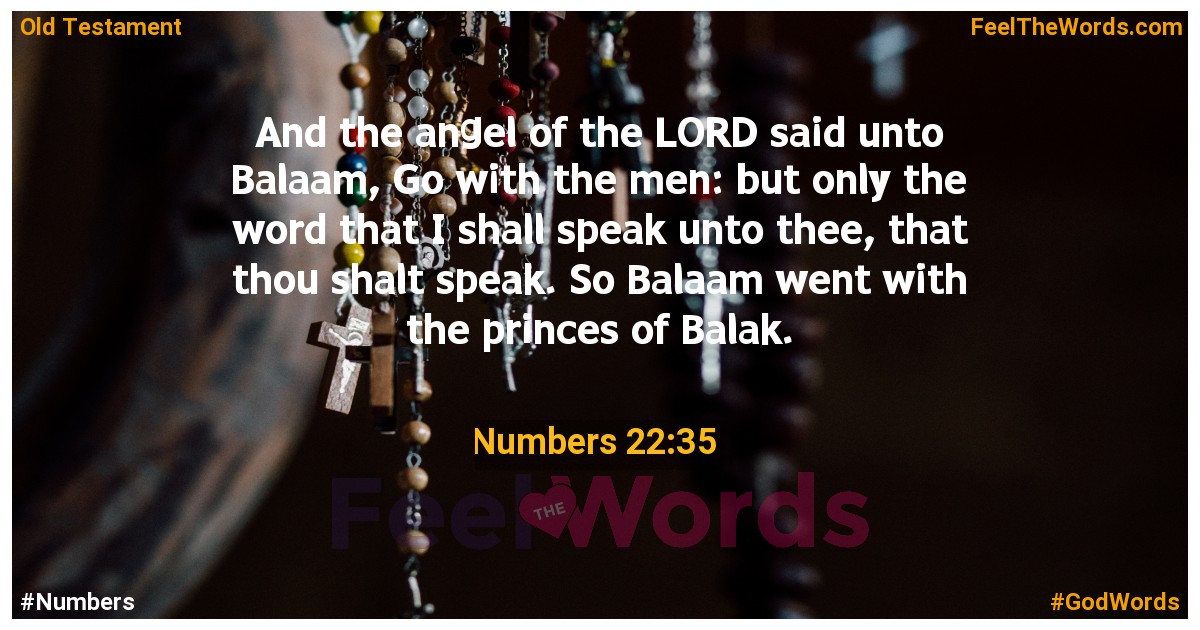 Numbers 22:35