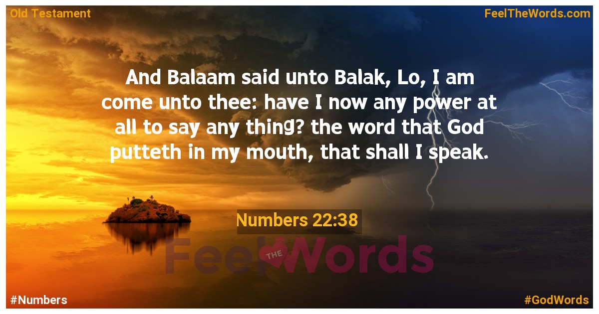 Numbers 22:38