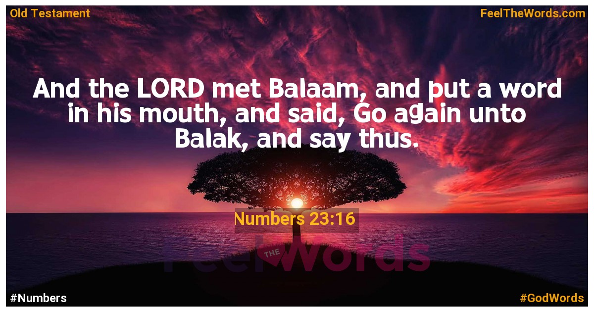 Numbers 23:16