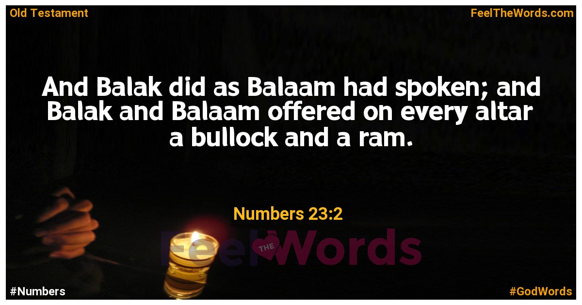 Numbers 23:2