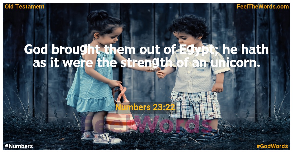 Numbers 23:22