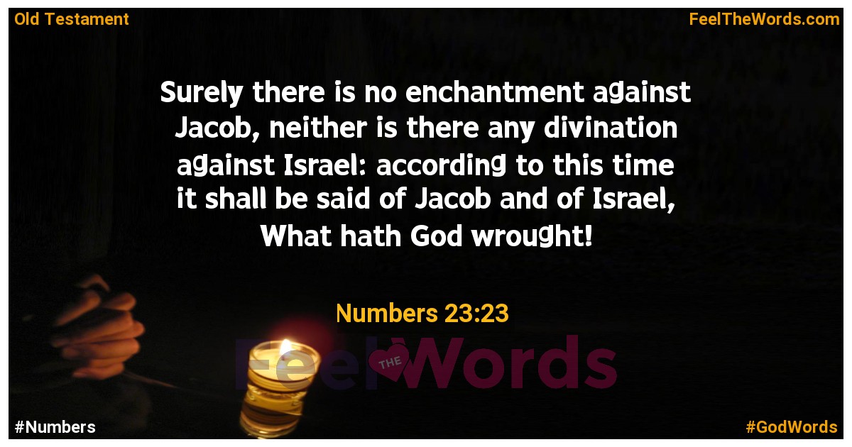 Numbers 23:23