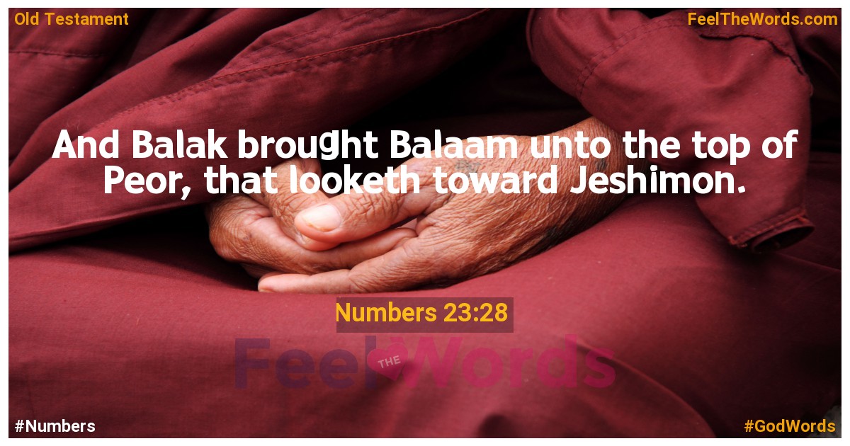 Numbers 23:28