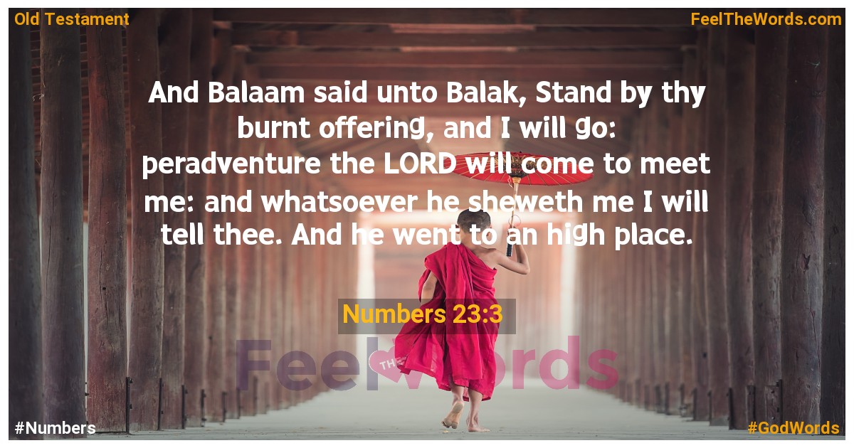 Numbers 23:3