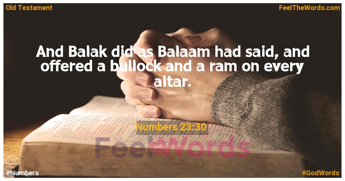 Numbers 23:30