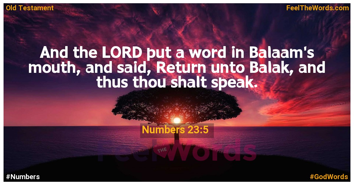 Numbers 23:5