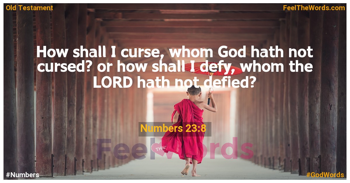 Numbers 23:8