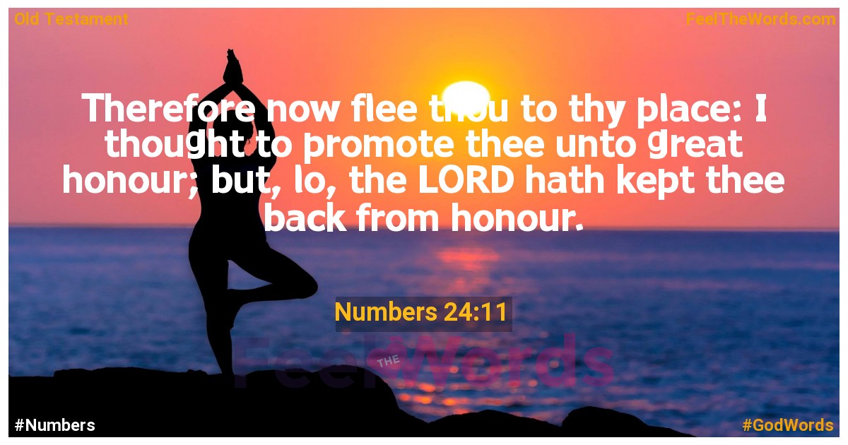 Numbers 24:11