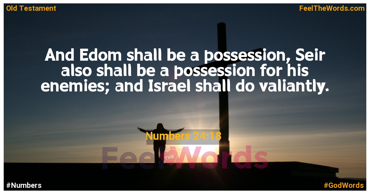 Numbers 24:18