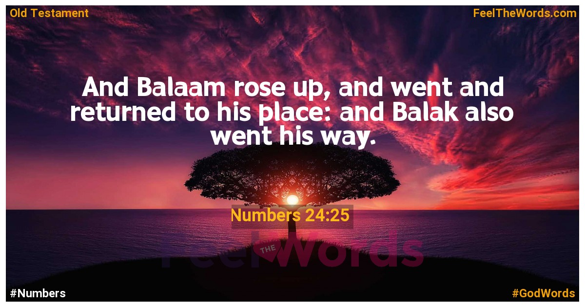 Numbers 24:25