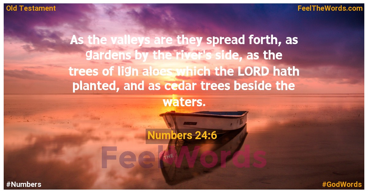 Numbers 24:6