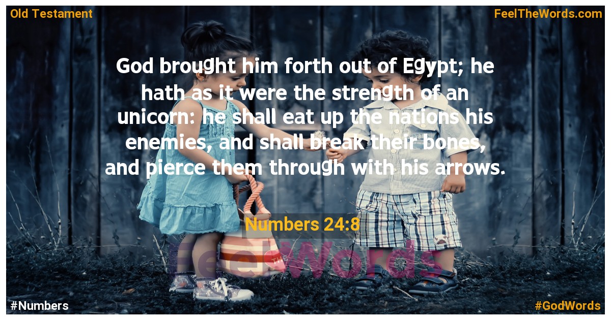 Numbers 24:8