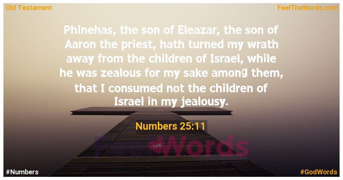 Numbers 25:11