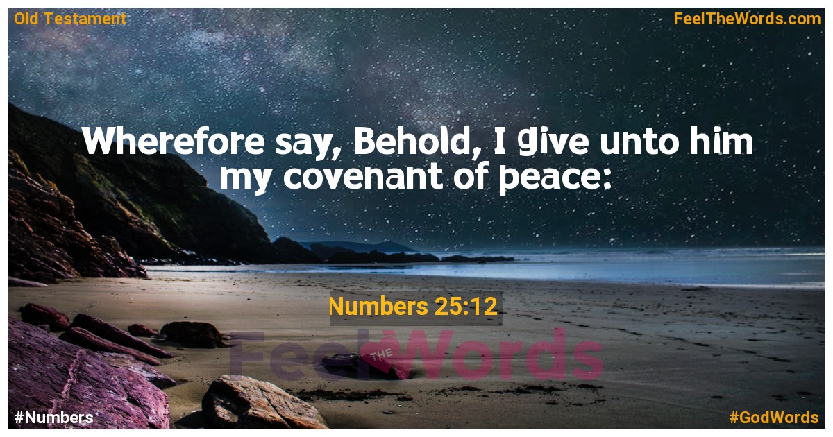 Numbers 25:12