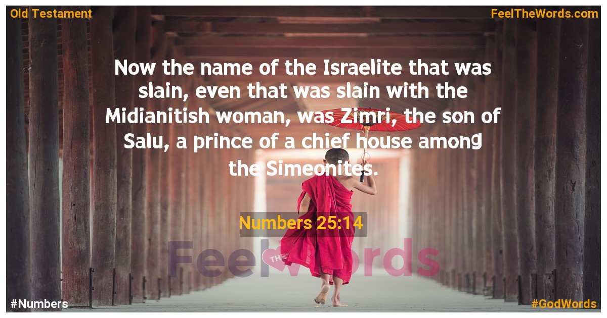 Numbers 25:14