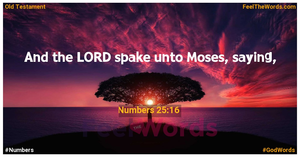 Numbers 25:16