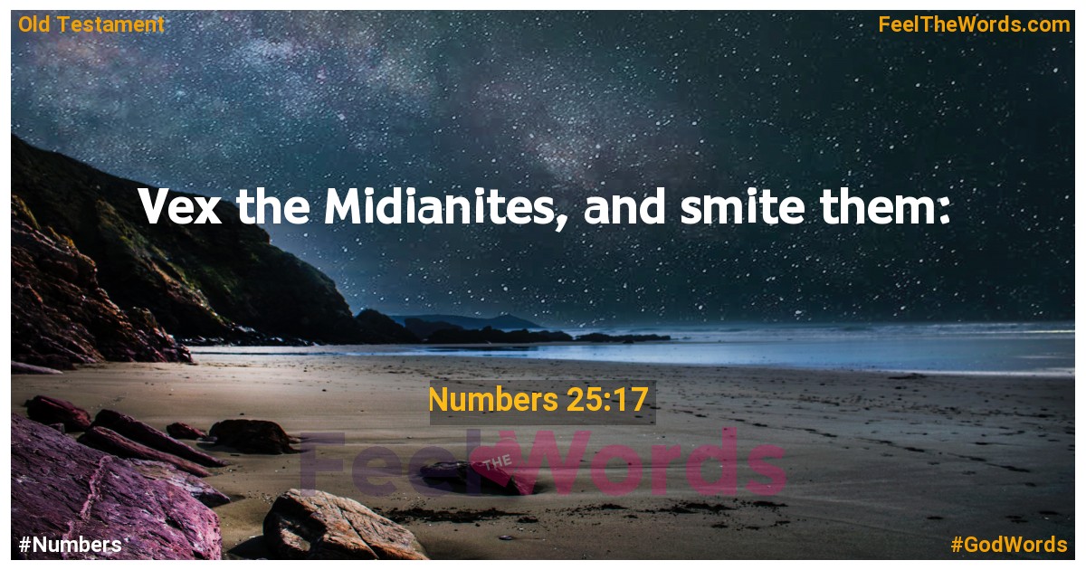 Numbers 25:17