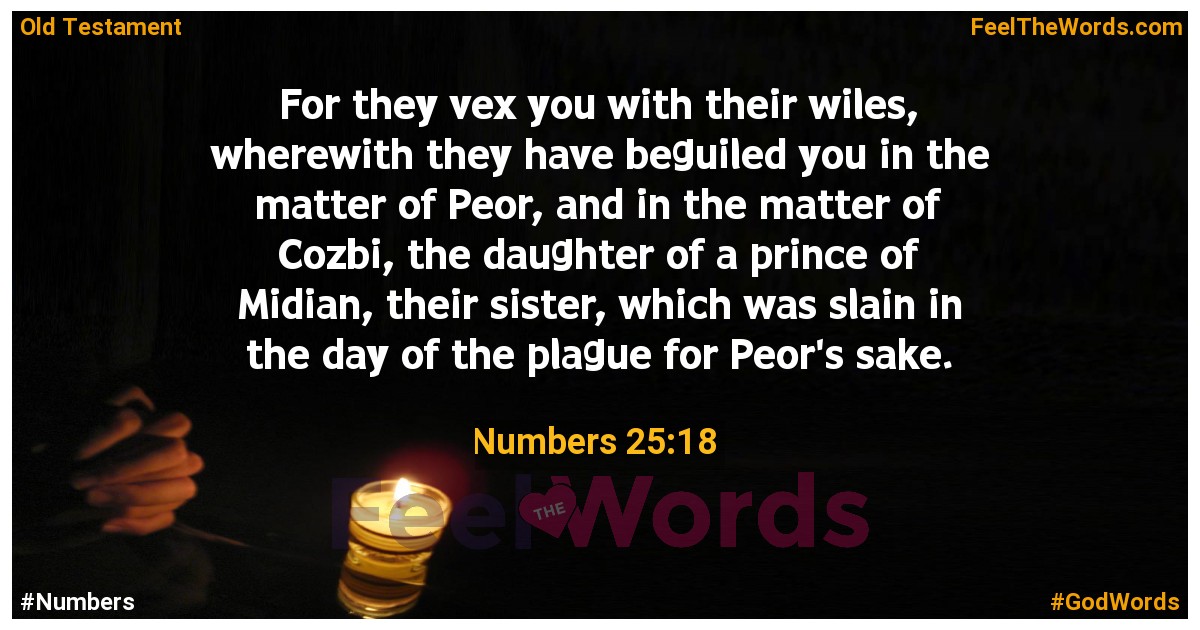 Numbers 25:18