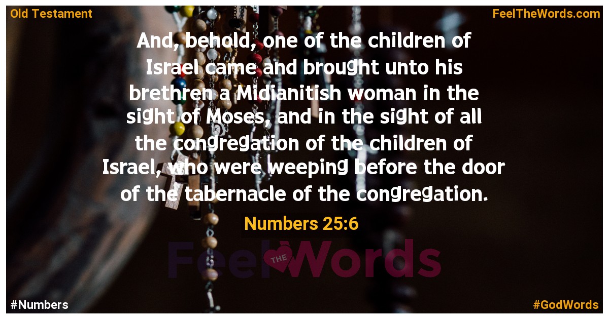 Numbers 25:6