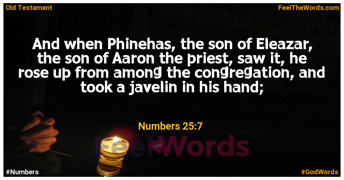 Numbers 25:7