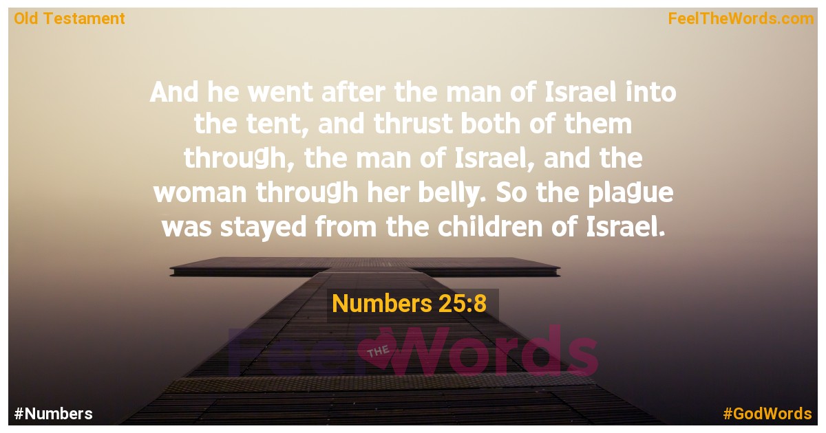 Numbers 25:8