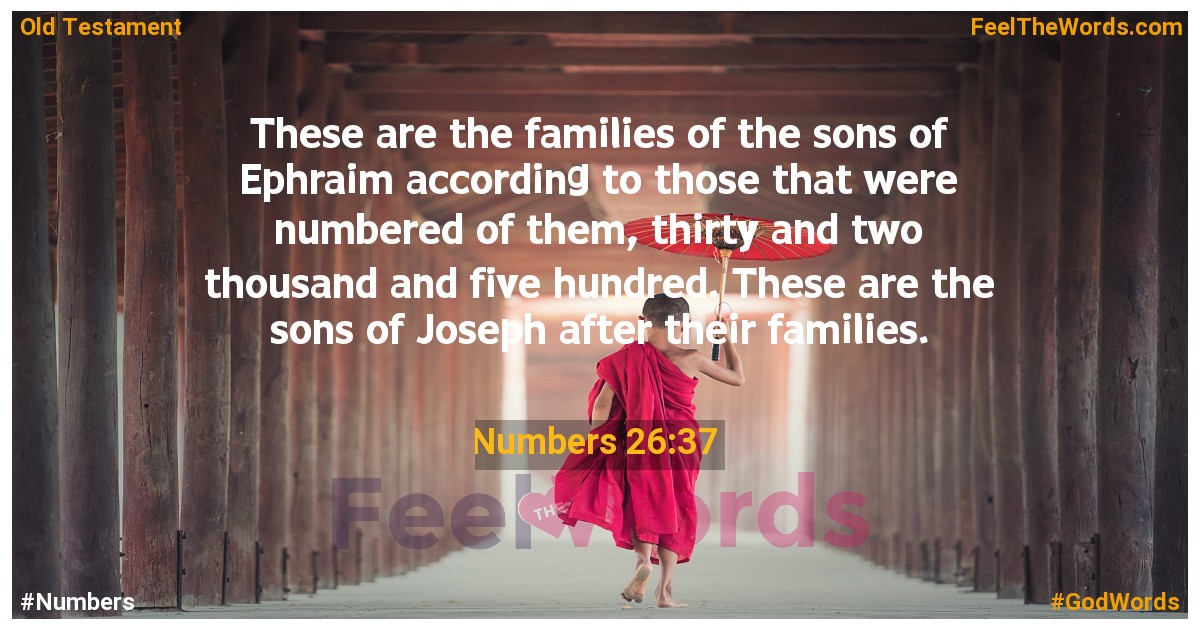 Numbers 26:37
