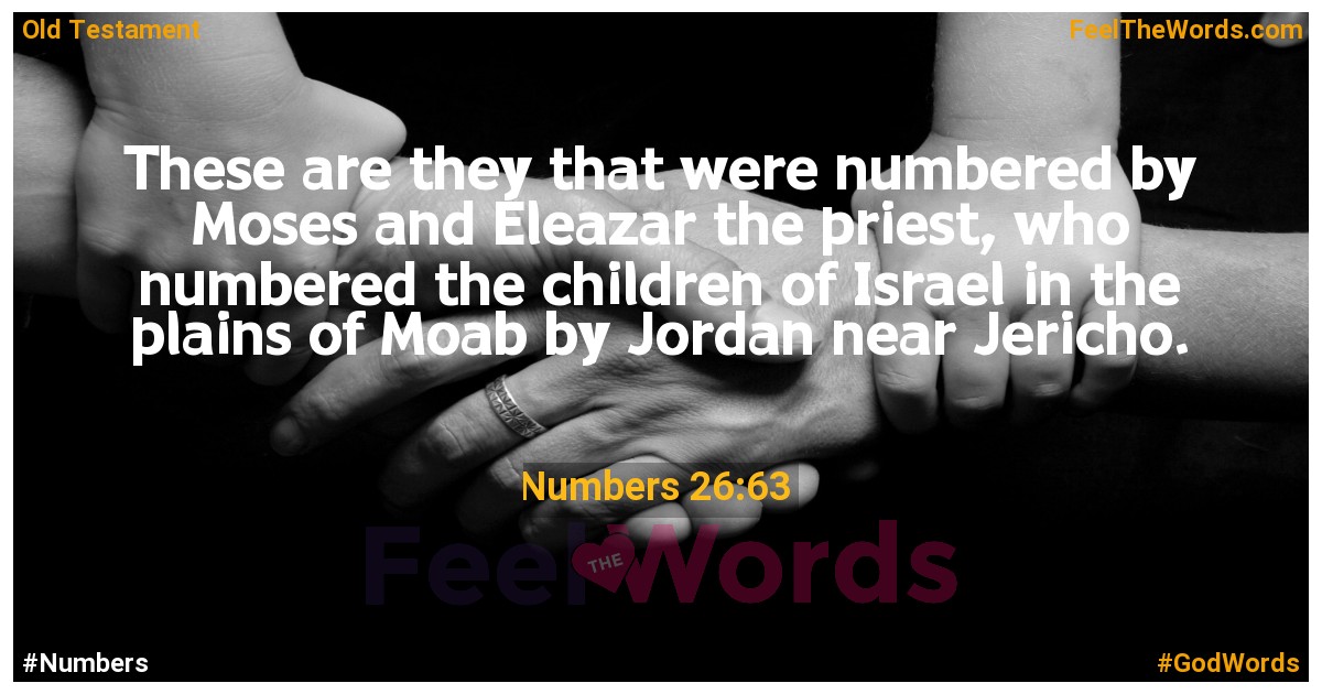 Numbers 26:63