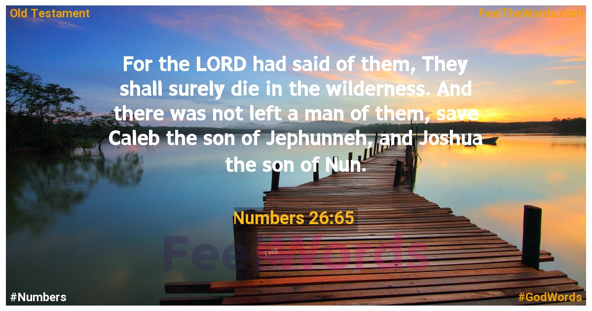 Numbers 26:65