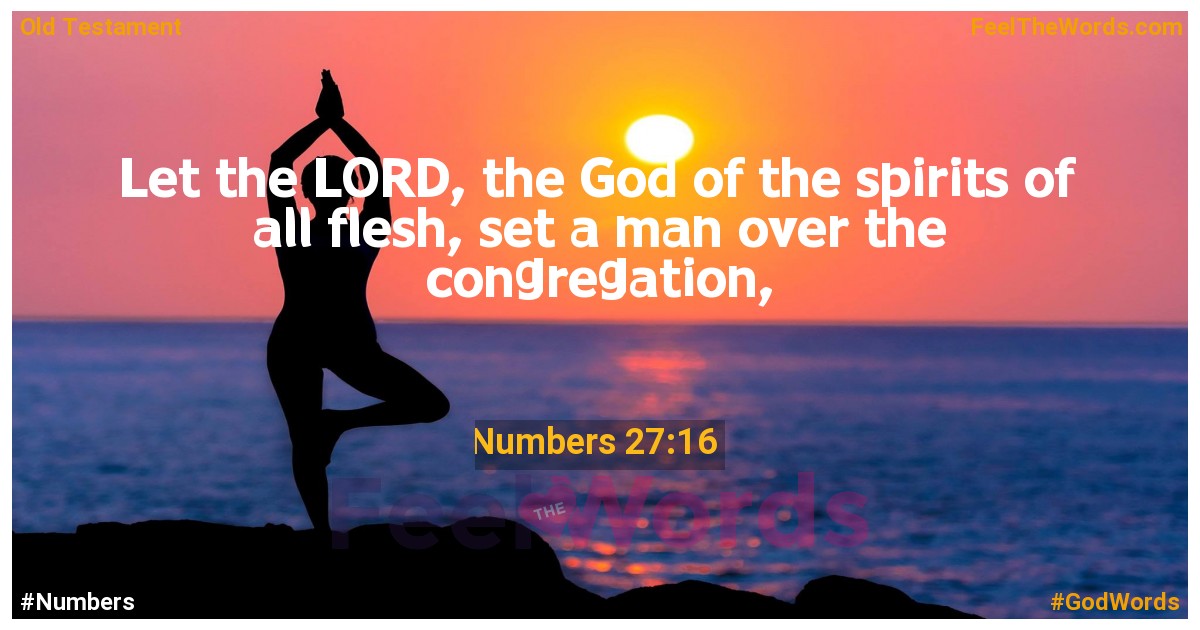 Numbers 27:16